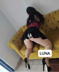 Luna chica nueva
